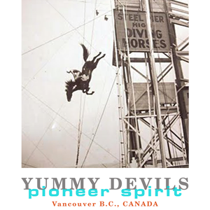 pioneer spirit